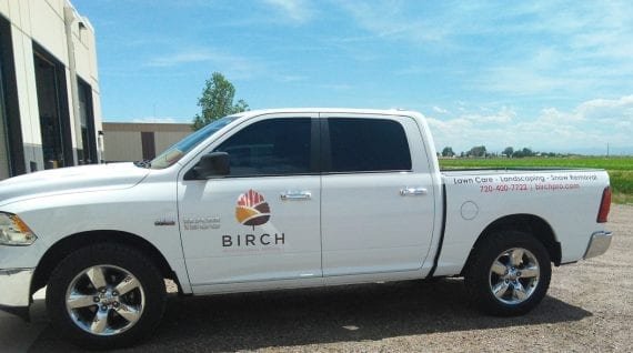 Birch-2-570x318.jpg