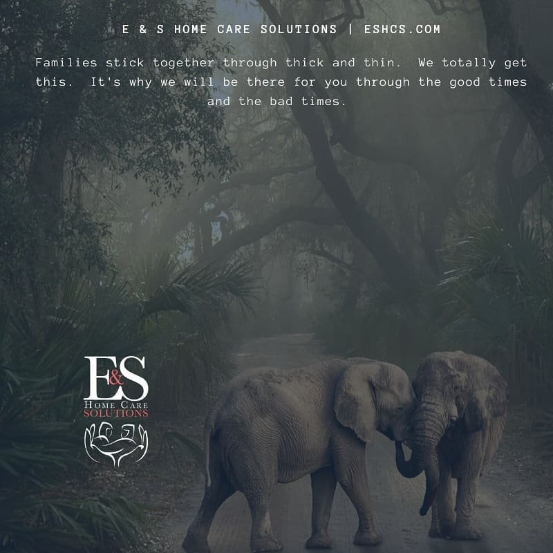 ES Home Care Solutions - Thick and Thin.jpg
