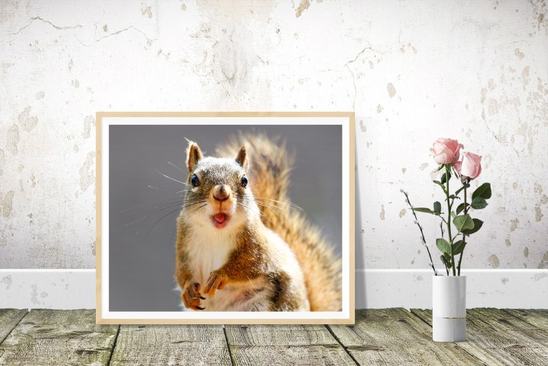 squirrel-frame-standing.jpg