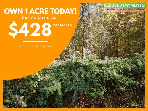 Land For Sale Hosner Mountain Rd Stormville, NY Main Mthy www.WeSellNewYorkLand.com (1).jpg