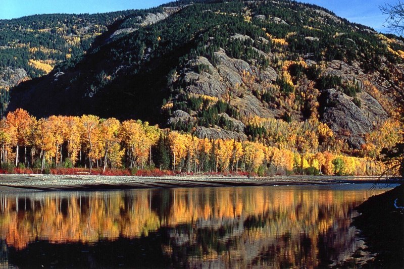 view_upriver_and_nw.jpg