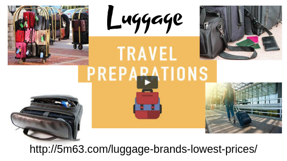 Luggage canva.png