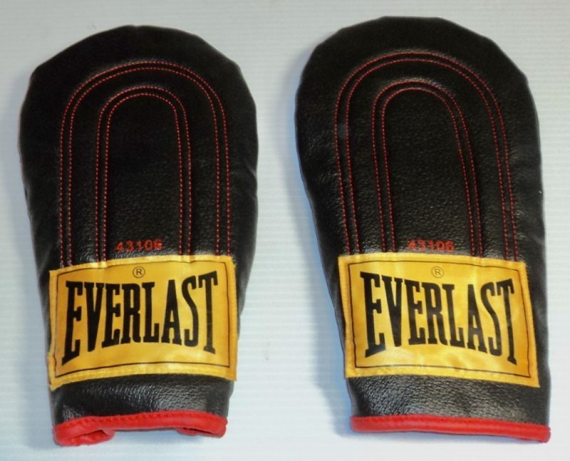 New Everlast Speed Bag Training LT Weight 43106 Boxing Gloves