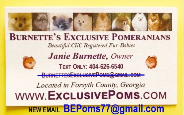 0 BEP Business Card.jpg