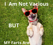 I Am Not Vacious_png.png I Am Not Vacious_png.png