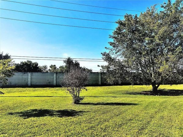 Back-yard.jpg