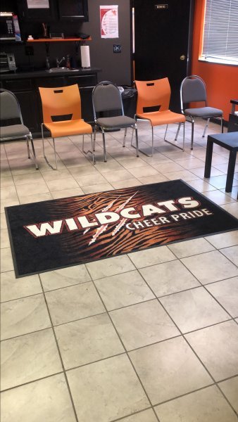 wildcats area rug.jpeg