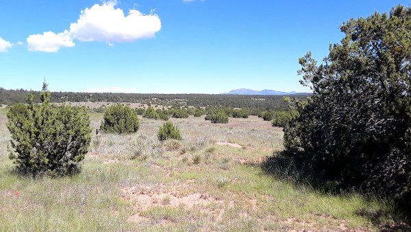 LAND-92-095-ACRES-BERNALILLO-COUNTY-001.jpg