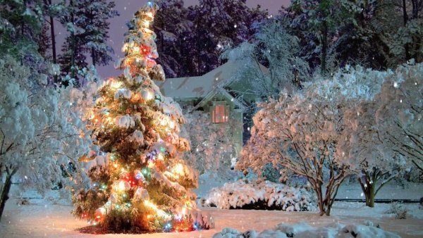 christmas scene.jpeg christmas scene.jpeg