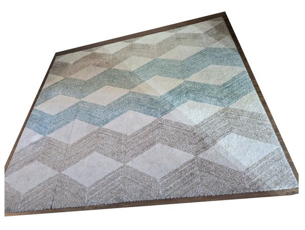 Accent Rug 1.jpg