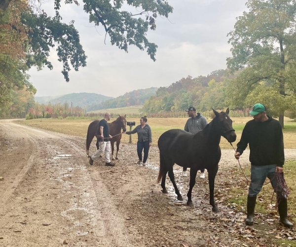 horse therapy#7.jpg horse therapy#7.jpg