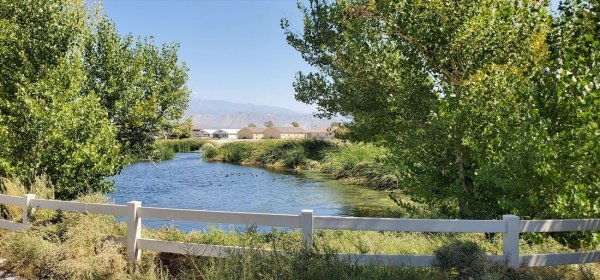patricia river.jpg