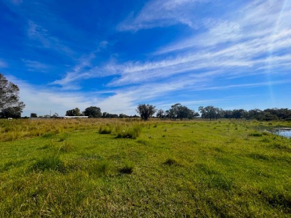Pasture 1.jpg Pasture 1.jpg