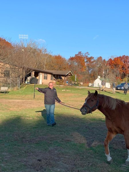 horse therapy#2.jpg