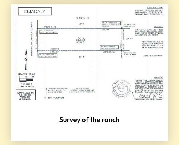 The land survey.jpg The land survey.jpg