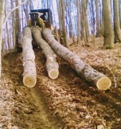 image000000.jpg image000000.jpg