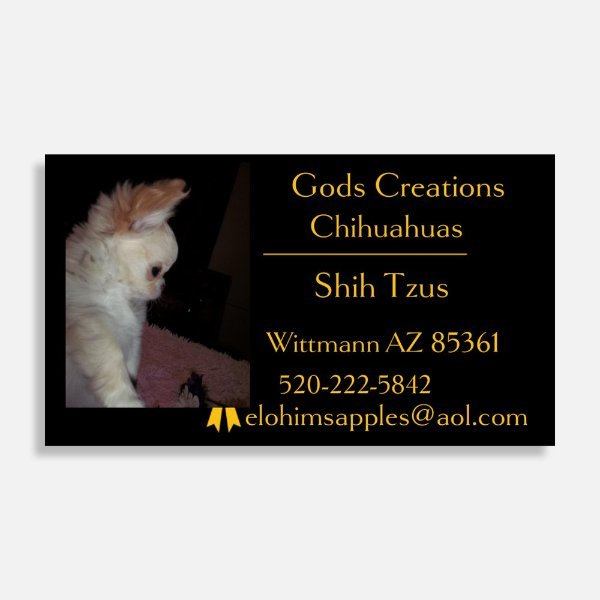 Gods Creationsjpg.jpg
