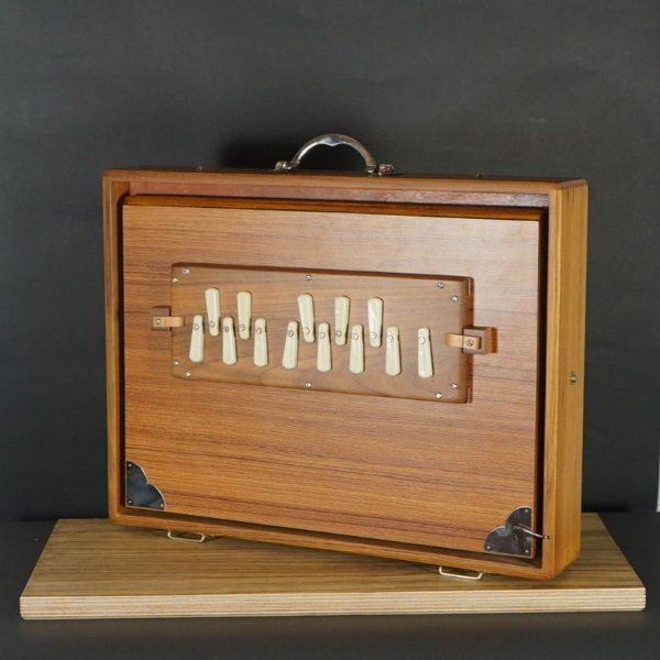 Shruti Box (1).jpg