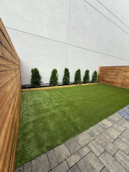 Turf and shrubs.jpeg Turf and shrubs.jpeg