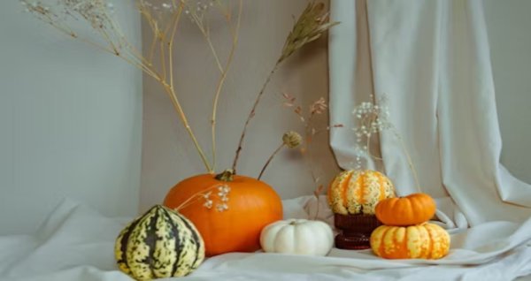 where to buy porch pumpkins,.jpg