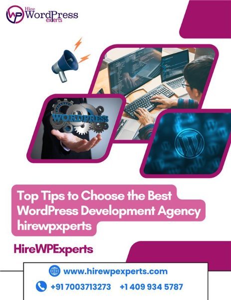 Best WordPress Development Agency.jpeg