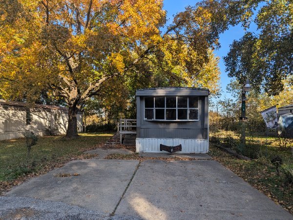 home 116 color leaves.jpg