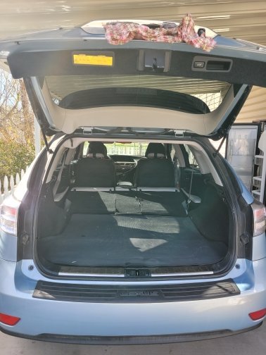 6 trunk 20240322_101635.jpg