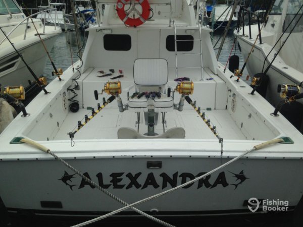 WhatsApp Image 2025-11-17 at 11.22.38 AM (1).jpeg