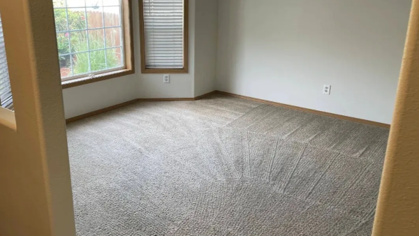 Carpet-Cleaning-Pros-2 (1) (1).png