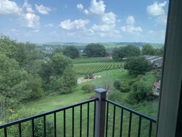 Milestone 3 House - View from deck.jpeg