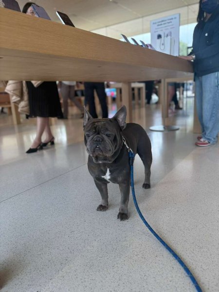 WhatsApp Image 2025-11-10 at 14.03.58_1c5599a1.jpg