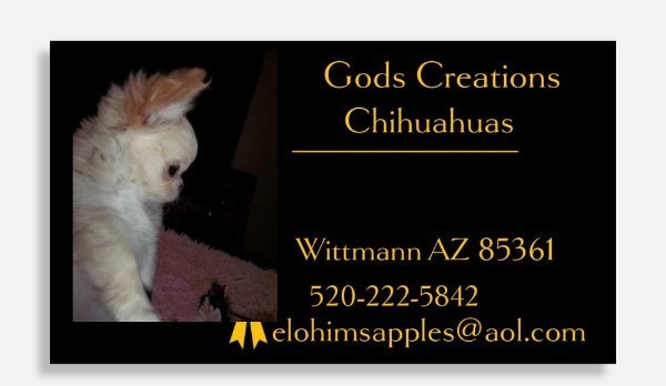 Gods Creationsjpg.jpg