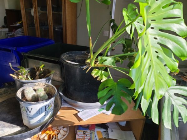 1 3 dec 1000002215.jpg