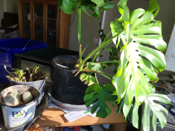 2 3 dec 1000002223.jpg