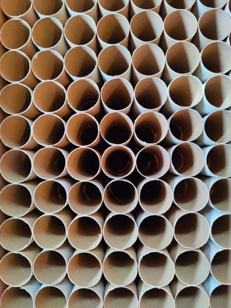 0 toilet paper roll.jpg