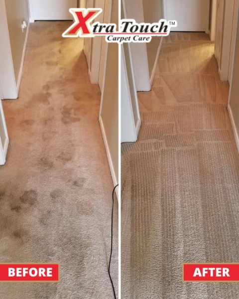 558311418_1324478969688374_7792075393840357446_n (1).jpg