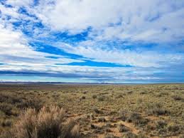 petrified-forest-2.jpg