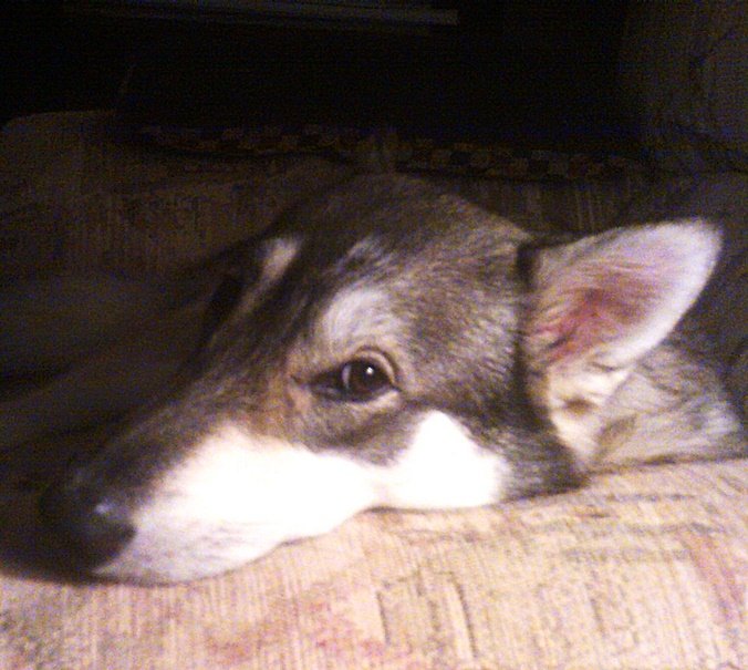 Mika_Thinking_DSCF00061.JPG