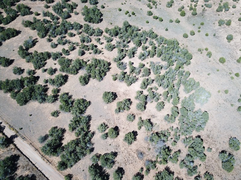 5 - birds eye SE Corner.JPG