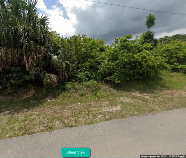 Street View.png