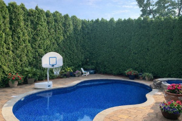 New Pool Flowers.jpg