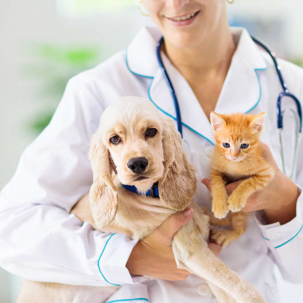 clasifed for dry creek.png clasifed for dry creek.png