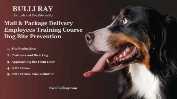 employee dog  bite safety training.jpg