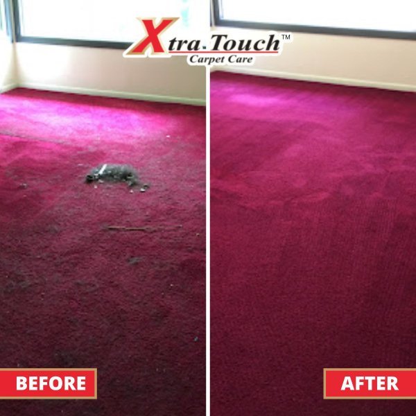 carpet cleaning xtra touch.jpeg