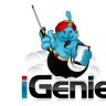igenierepair